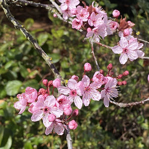 Meet your Posher, Nina